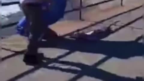 Massachusetts Man Arrested For Attacking Man Wearing Trump Costume!!!