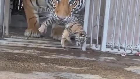 😂👩‍👦 Mommy Fail That Will Make You Laugh! | FunFM