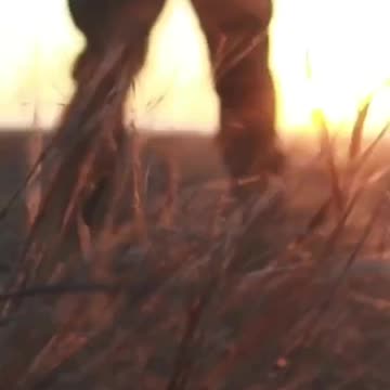 New Combat Edit from 73rd Special Operations Division of the Ukrainian Navy