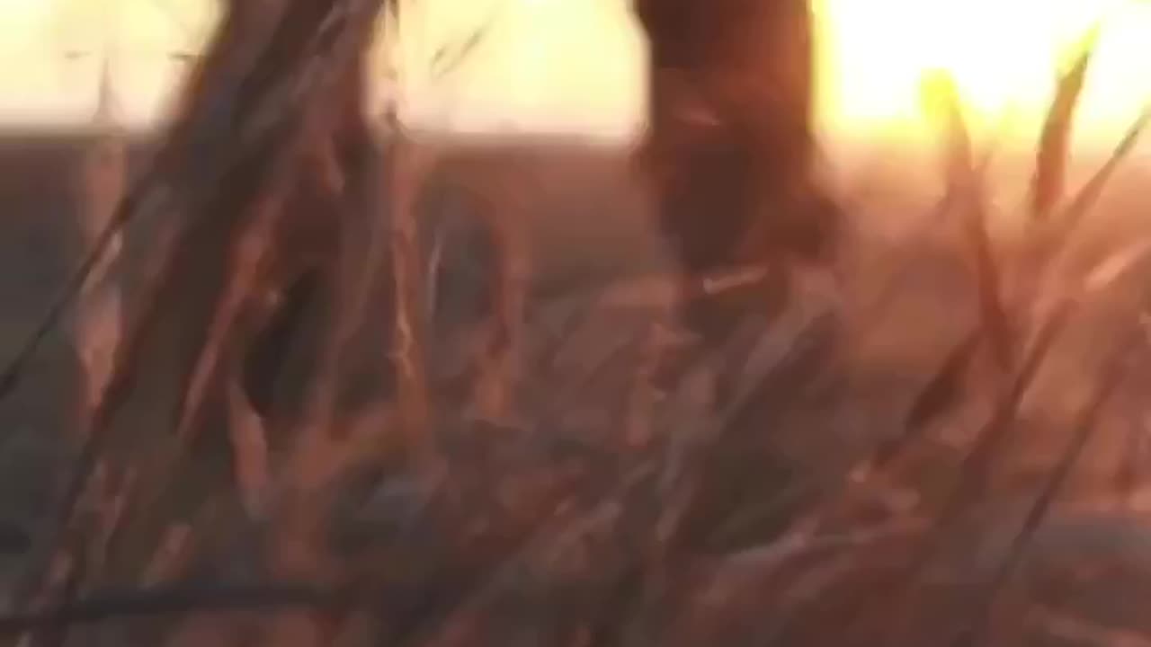New Combat Edit from 73rd Special Operations Division of the Ukrainian Navy