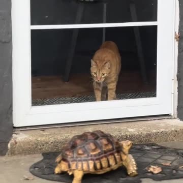 There goes the neighborhood 😂