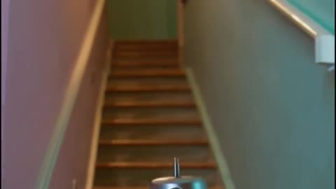 Cute Robot