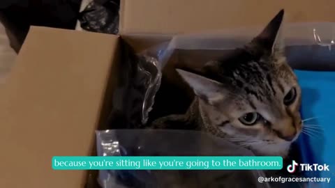 Esther Nap-Time Exposé!