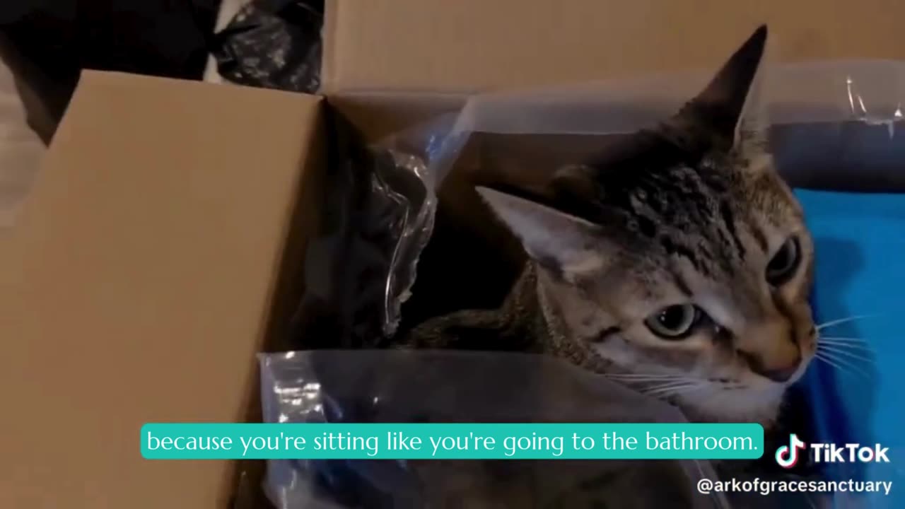 Esther Nap-Time Exposé!