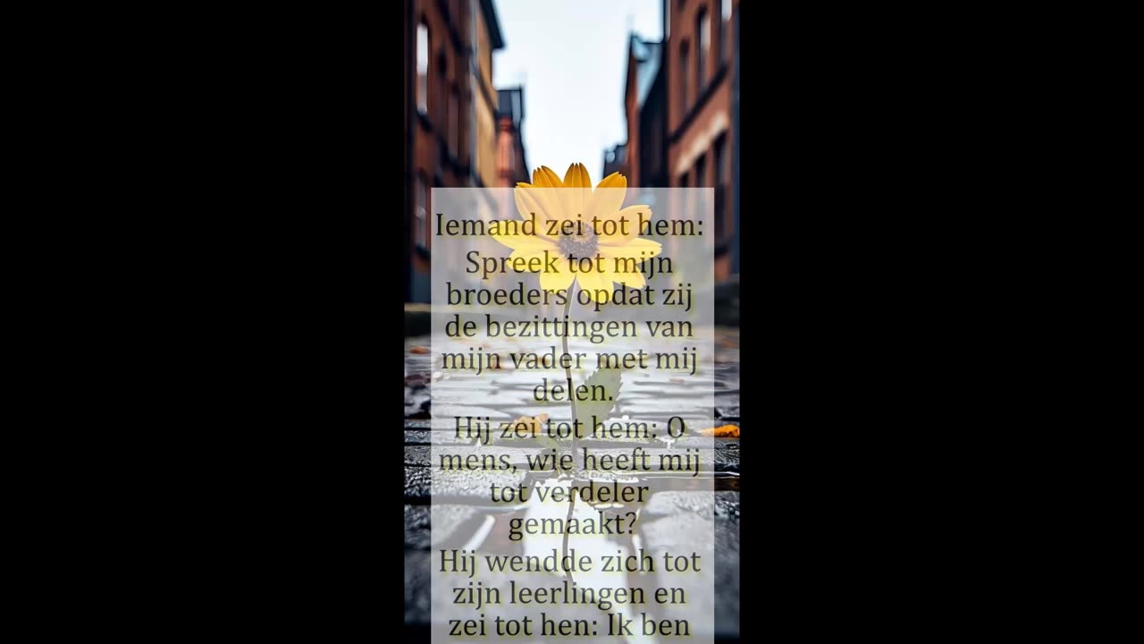 Iemand zei