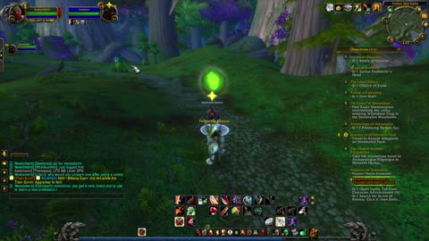 THE FILES Chromatic Sword Swinging Cold Play Light of Elune WoW Ascension