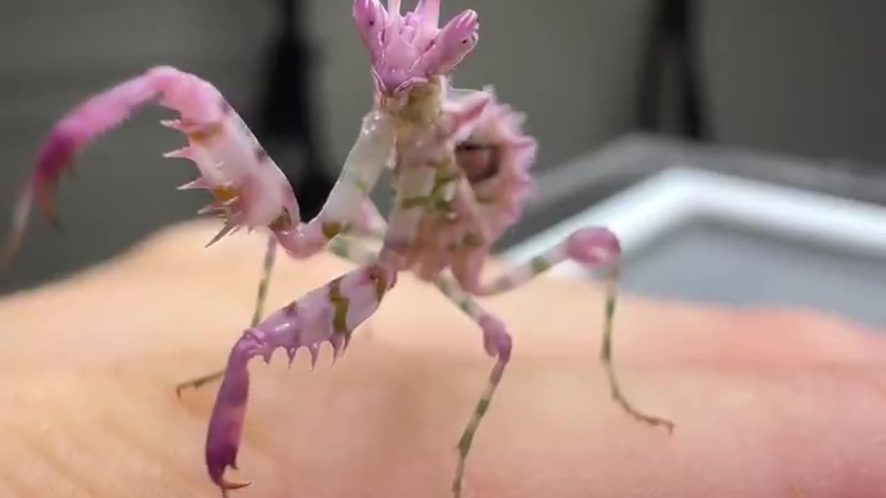 She doing a lil dance omg 😳