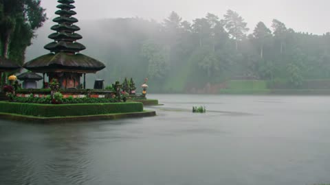 Tropical Rain Ambience