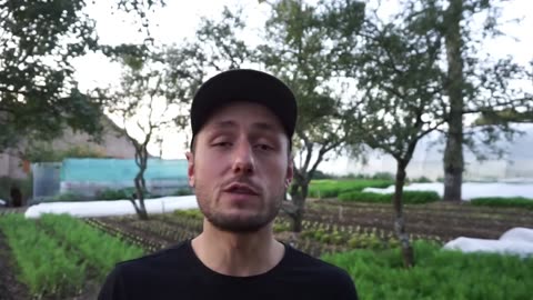 How to Start a Farm From Scratch: Beginner’s Guide to Growing Vegetables for Profit