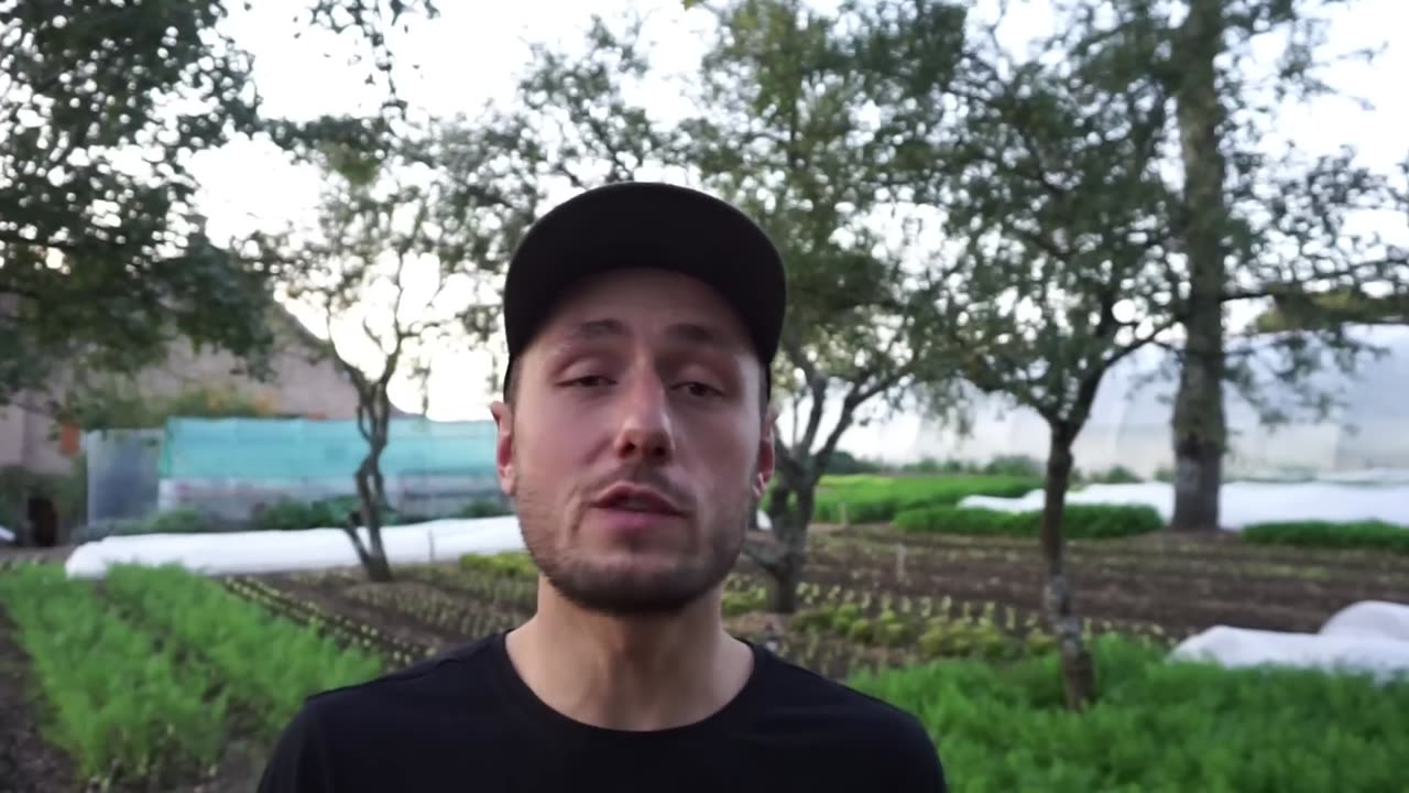 How to Start a Farm From Scratch: Beginner’s Guide to Growing Vegetables for Profit