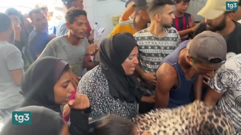 FRANCESCA ALBANESE, RELATRICE ONU PER TERRITORI PALESTINESI|“ANCHE A GAZA IL MONDO ALLA ROVESCIA!!”👿👿👿