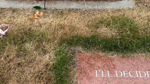 FAMOUS GRAVES - VOL. 664: BILL RUSSELL