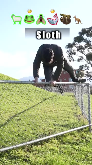 How Animals Jump Over Fences