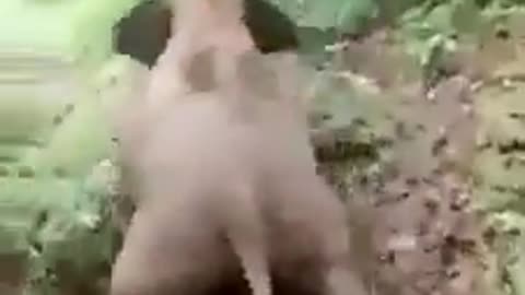 Fun For All