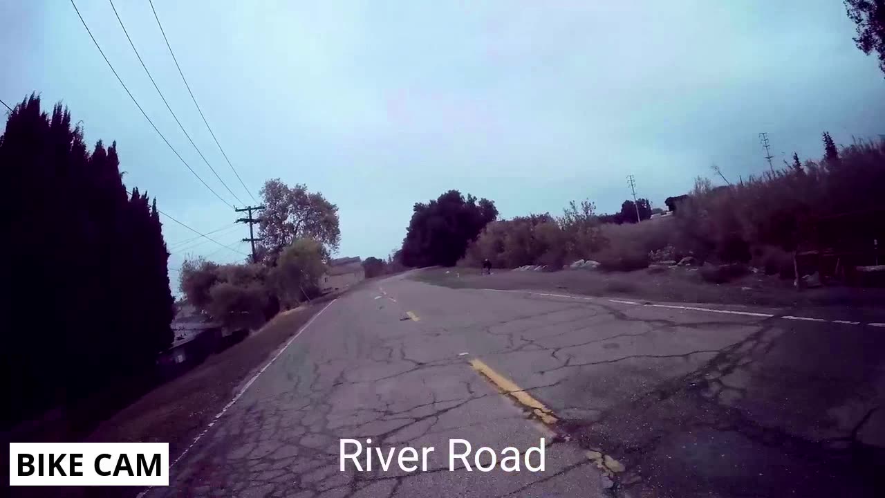 The Calaveras Connection; Trash on Demand.