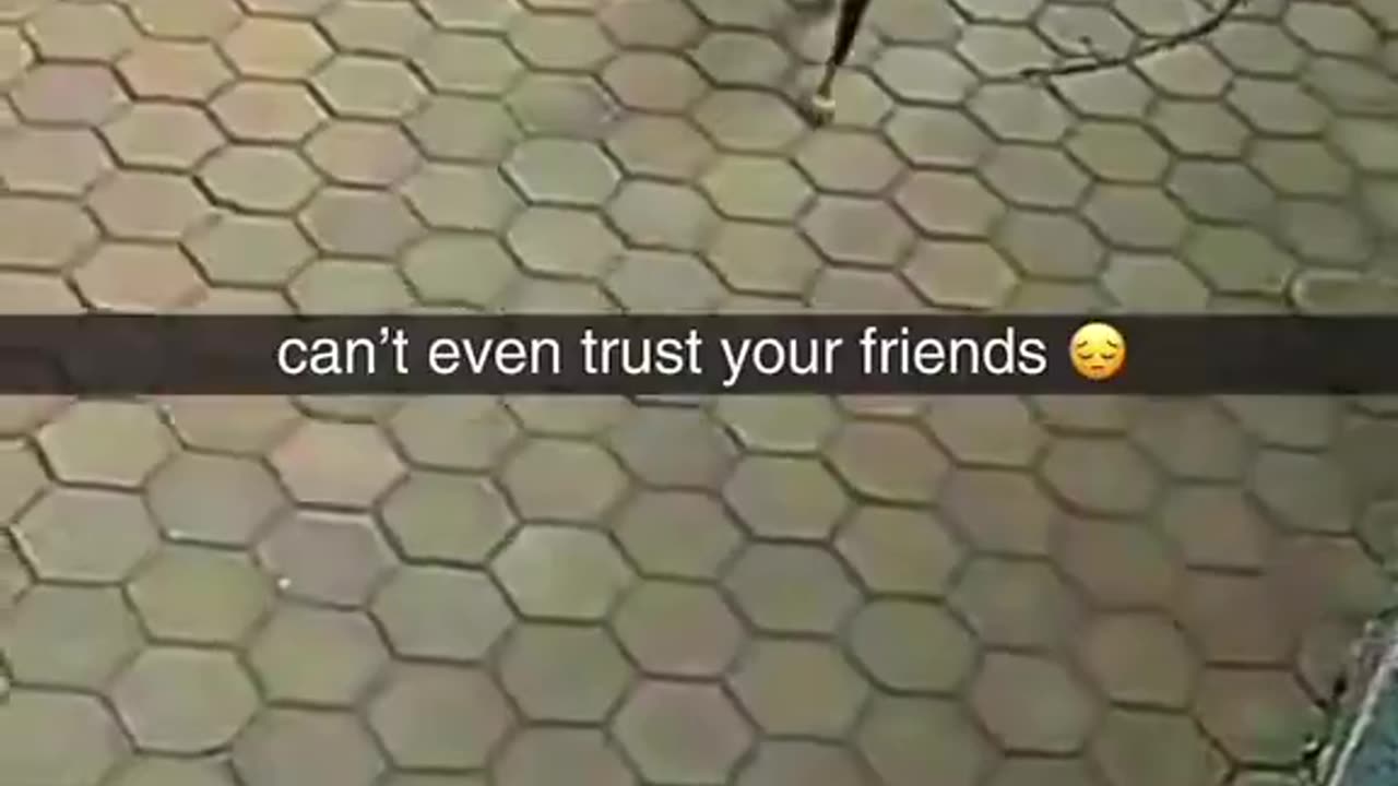 He looked so sad 😭