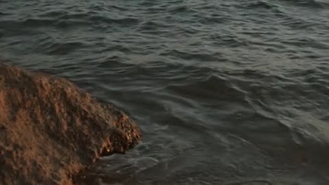 Daily Horoscope | Cancer 🌟