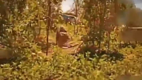 🛸🔫 Ukraine Russia War | Perun Pilots' FPV Drone Chases Russian Soldier | RCF