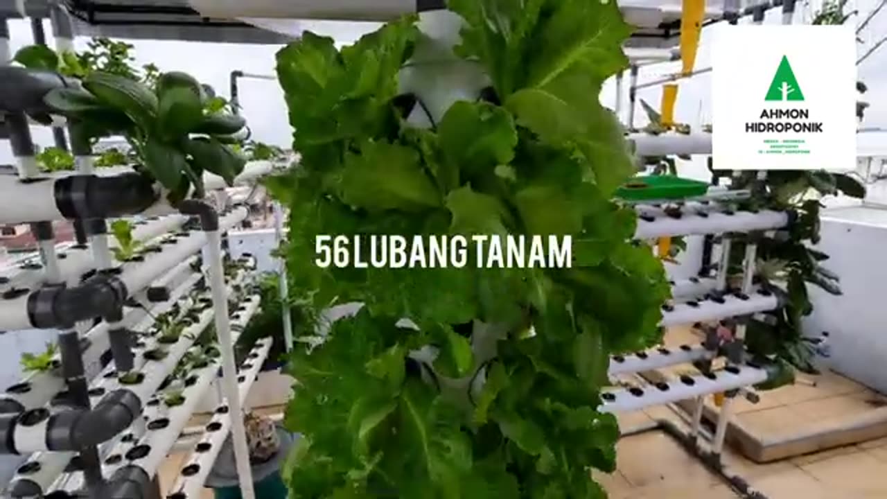 Hidroponik Tower / Vertikultur Hidroponik / Hidroponik Vertikal