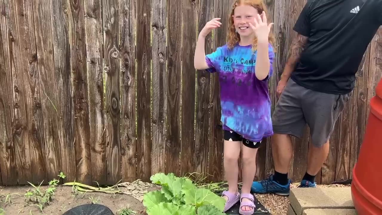 Final End of May Garden Update! - Potato Fail