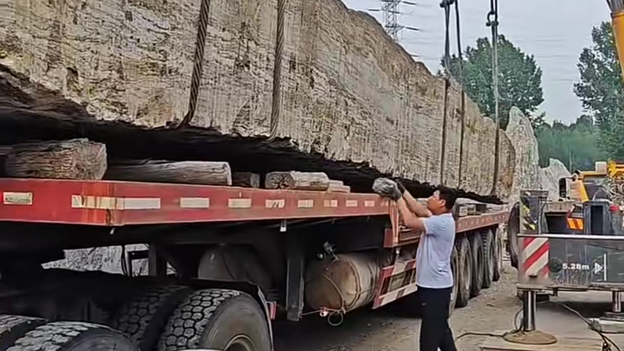 🤯✨ Satisfying Machine in Action! | FeedMyCuriosity