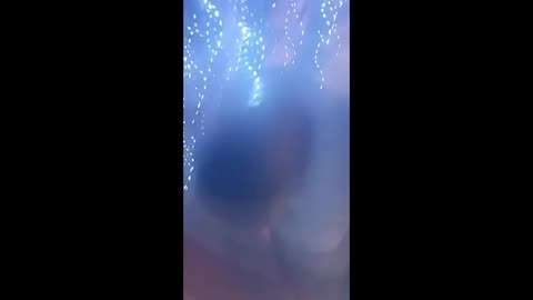 🎉🤣 You Won't Believe How Brazil Celebrated New Year! | FunFM