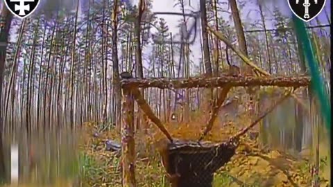 🛸🌲 Ukraine Russia War | Fiber Optic Drone Penetrates Russian Bunker Defense in Lyman | RCF