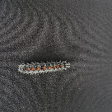 Brudnica Nieparka (Lymantria Dispar L.) [Rumble Short]