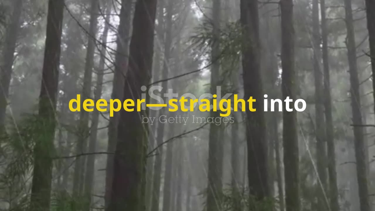 Aokigahara: Japan's Mysterious Sea of Trees