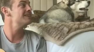 Man performs an EPIC duet with his husky