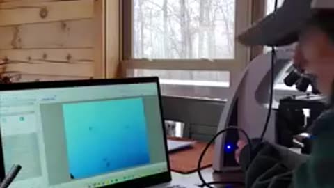 SNOW THAT DOESN'T MELT