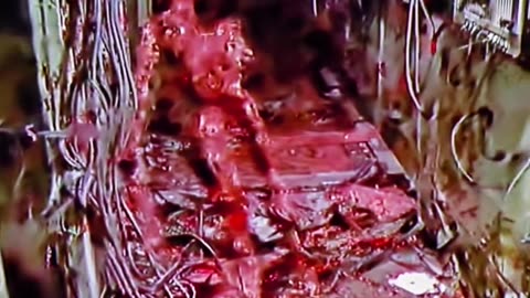 THE KOREAN AI PROTO TYPE KNOW AS HANI MANIFESTED IT SELF.