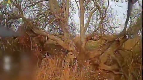 🛸🔥 Ukraine Russia War | 'Falcons' UAV Battalion Strikes Russian Forces with FPV Drones | RCF