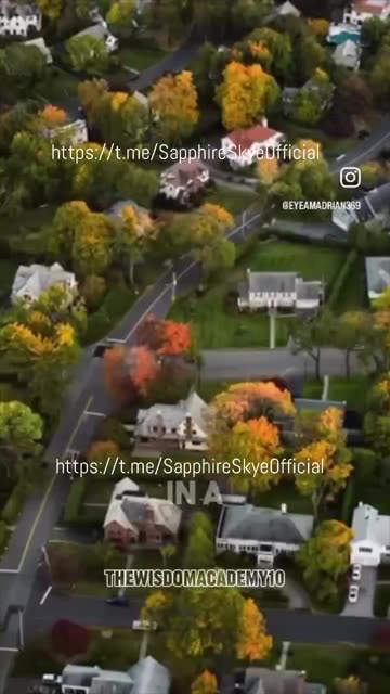 Trees emit a healing frequency - don't forget to hug them