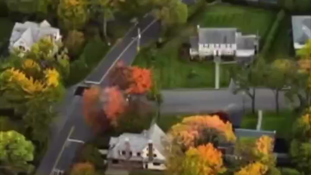 Trees emit a healing frequency - don't forget to hug them