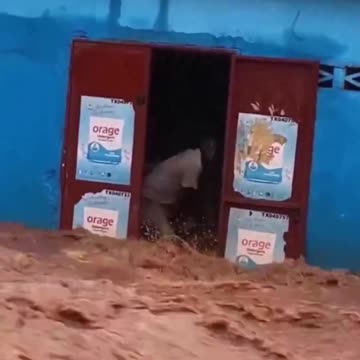 Misunderstood genius.