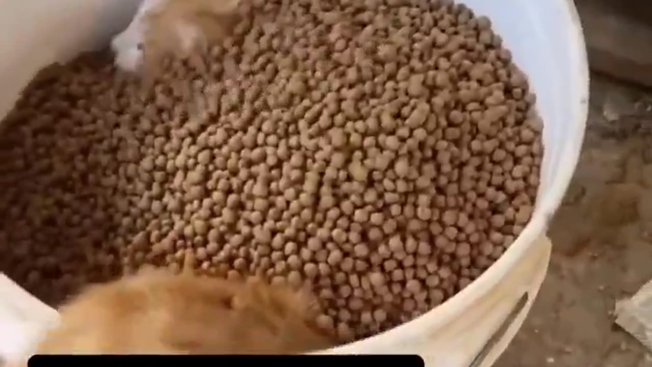 Ha! You can't drown me in food! I'll just eat it all!!!