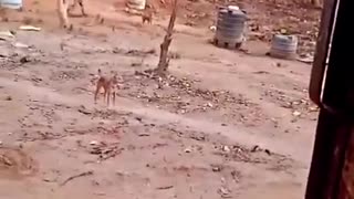 ⚠️💥 India Pakistan War | BSF Trooper's Close Call During Naxalite Attack | RCF