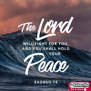 Prayer to be Still #youtubeshorts #grace #jesus #mercy #faith #fyp #trust #bless #love #joy #believe