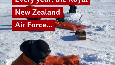 🤯🐧 Watch As Curious Penguins Crash Military Survival Training | FeedMyCuriosity