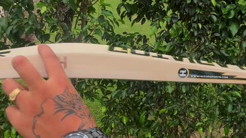 What makes a bat stand out?