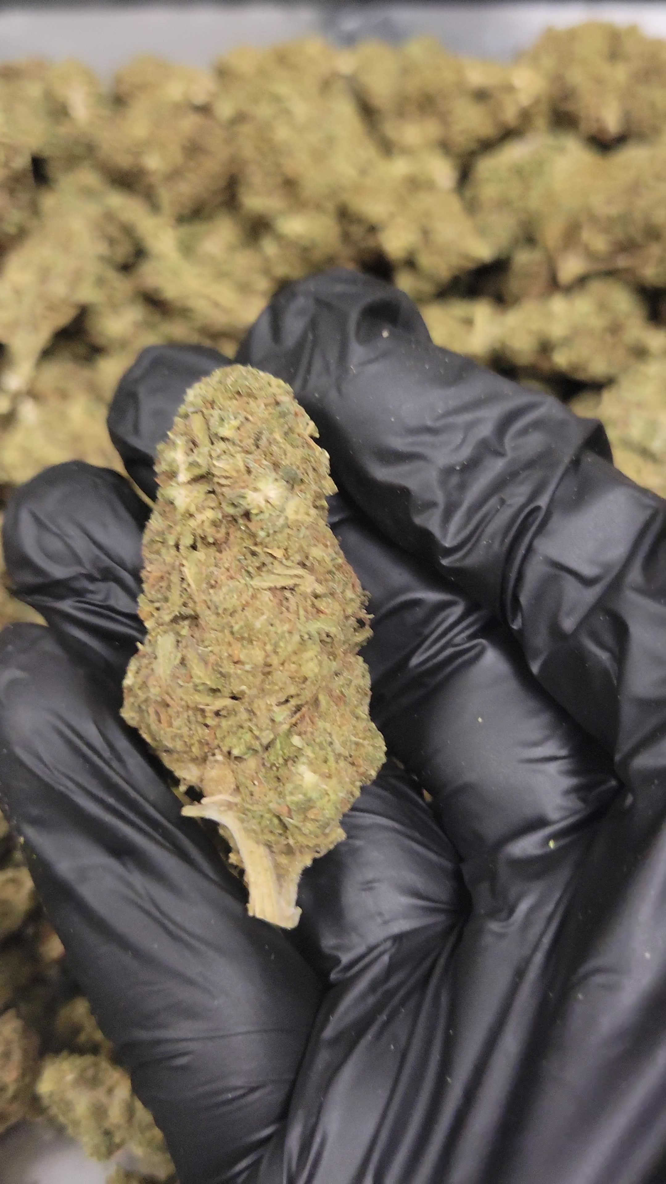 Sunset Sherbet THC Flower