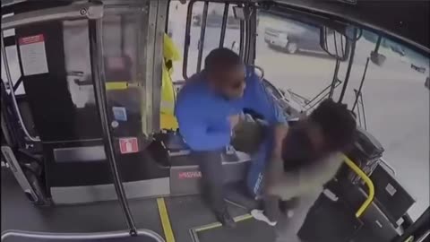 Nigger attacks the bus driver WHILE THE BUS IS MOVING