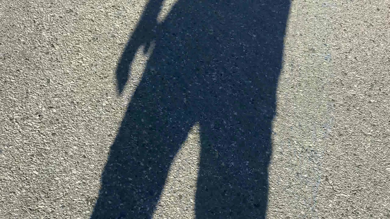 Do Nothing Challenge b228101 🐱 New Earth Creations #myshadow #meditationshorts #digitalart