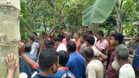 অপরূপ সৌন্দর্য প্রকৃতির মাঝে