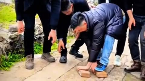 Hilarious Brick Walking Challenge Fails!