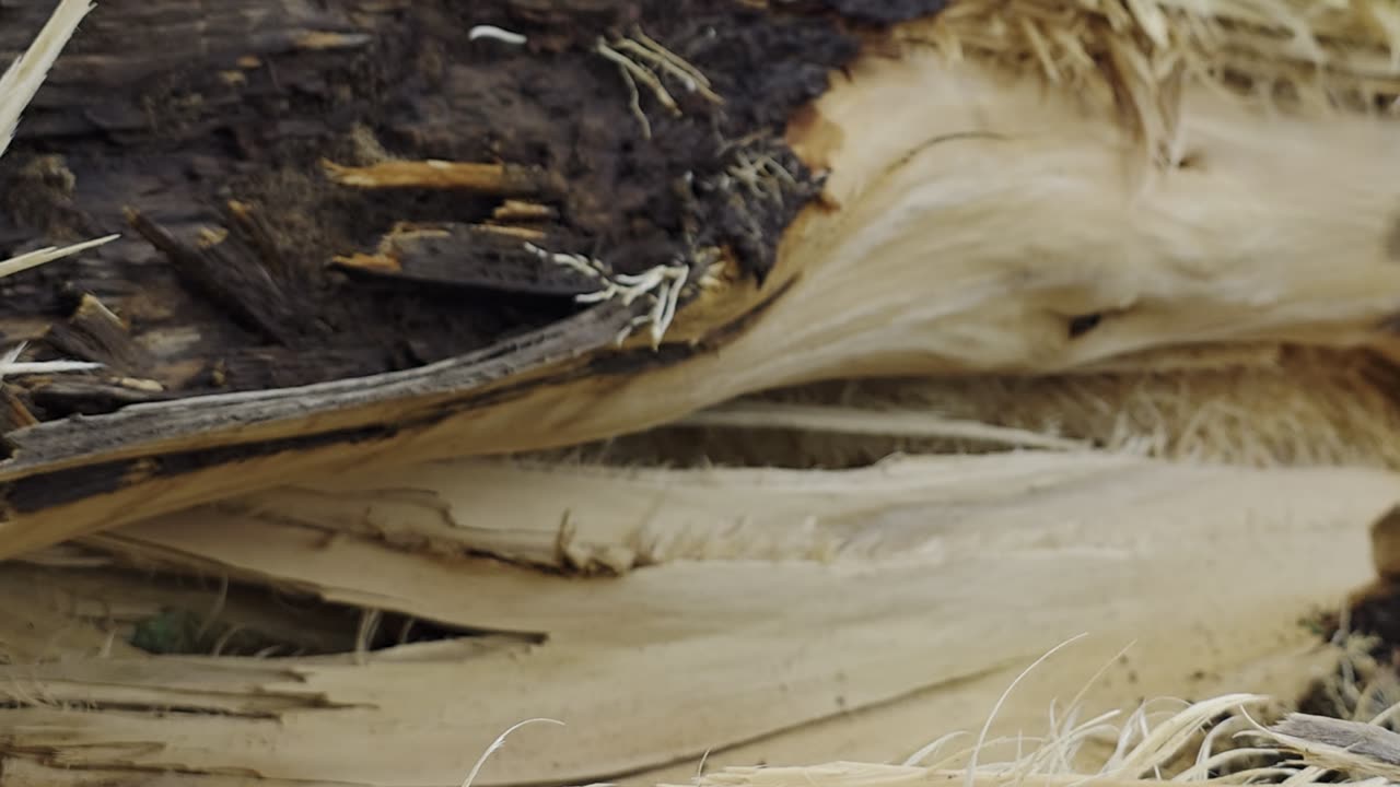 Crazy storm in Massachusetts (September 6)