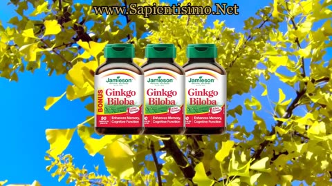 Ginkgo Biloba, 25 Beneficios para la Mujer