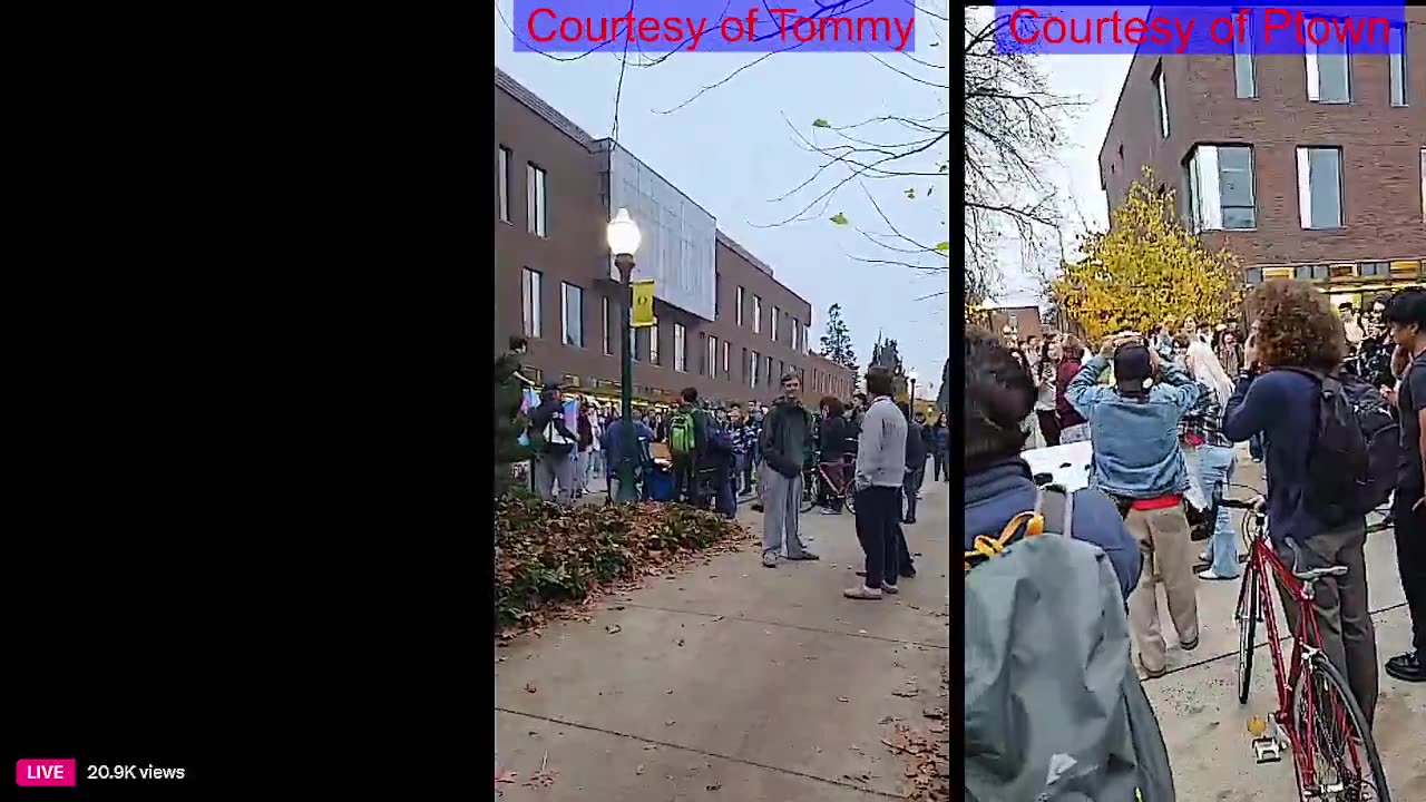 Tommy Goes To College