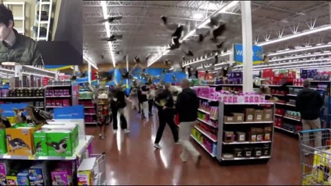 Over 20 Fictitious Woodpecker Birds Roam Around A Walmart Supercenter Fake Strange Video